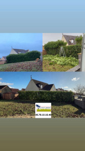 Photo de galerie - Taille de haie