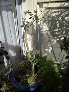 Photo de galerie - Avant 