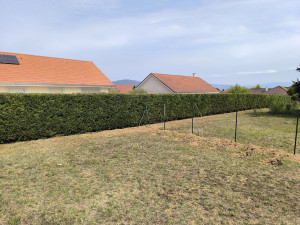 Photo de galerie - Rabattage de haie 