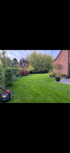 Photo de galerie - Entretien 