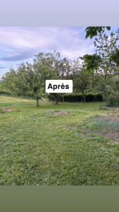 Photo de galerie - Tonte et entretien du jardin 