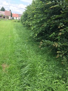 Photo de galerie - Avant 