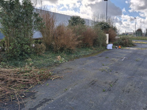 Photo de galerie - Debroussaillage effectuer sur sainte mère eglise