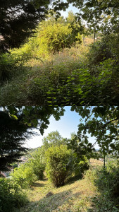 Photo de galerie - Nettoyage 