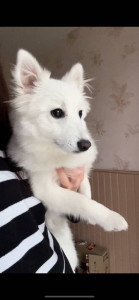 Photo de galerie - La Jolie Satine 