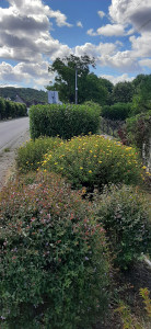 Photo de galerie - Massif 