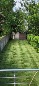 Photo de galerie - Finition du chantier ?