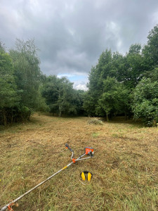 Photo de galerie - Entretien 