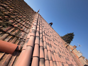 Photo de galerie - Dépose et repose une toiture entière en 2 jours 