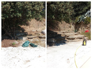Photo de galerie - Création et nettoyage pour un espace fleuri à côté de la nouvelle piscine pour le nouveau gite toujours a Vaison la Romaine 