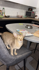 Photo de galerie - Déplacement à domicile 