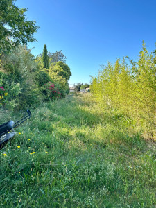 Photo de galerie - Tonte de pelouse - Débroussaillage
