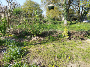 Photo de galerie - Jardinier