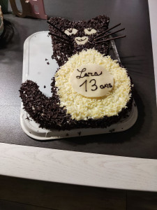 Photo de galerie - Gateau d'anniversaire - cake art