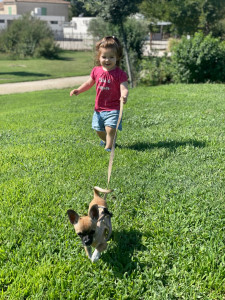 Photo de galerie - Garde chien