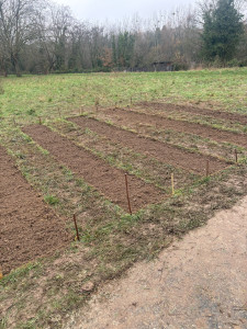 Photo de galerie - Paysagiste - Aménagement du jardin