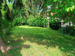 Photo de galerie - Débroussaillage et tonte.