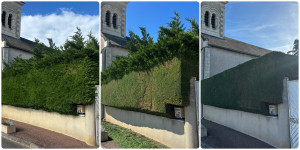 Photo de galerie - Taille sur 2 faces + rabattage de la haie (évacuation des déchets verts)