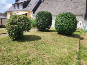 Photo de galerie - Après le taillage et la pelouse.