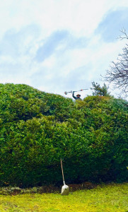 Photo de galerie - Validé 