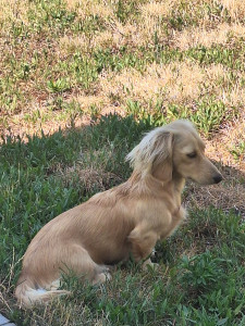 Photo de galerie - Yumi (garde régulière)