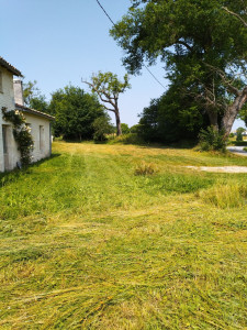 Photo de galerie - Tonte ramasser 