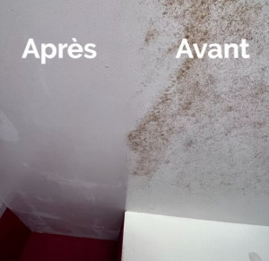 Photo de galerie - Avant/Après