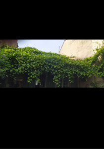 Photo de galerie - AVANT 