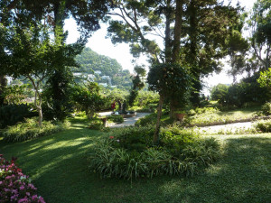 Photo de galerie - Jardin bien entretenu avec pelouse propre, arbres et massifs taillés