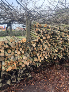 Photo de galerie - Mise en stère possible 