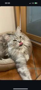 Photo de galerie - Milo en garde 