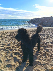 Photo de galerie - Radja 