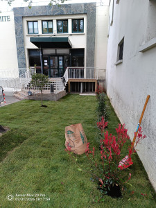 Photo de galerie -  La plantation des arbres – une étape essentielle pour un paysage harmonieux et verdoyant. Chaque arbre est placé avec soin pour créer de l’ombre, de la beauté et de l’équilibre dans le jardin ou l’espace urbain.  ?