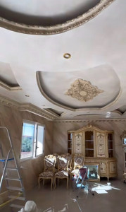 Photo de galerie - Plâtrerie - Murs - Plafonds