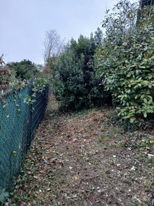 Photo de galerie - Débroussaillage d'un fond de jardin le long de la  clôture, reprise d'espace, libérer la clôture des différents rejets, accessibilité au arbustes à entretenir
