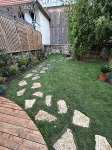 Photo de galerie - Aide à domicile