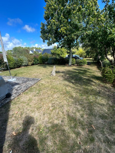 Photo de galerie - Tonte 