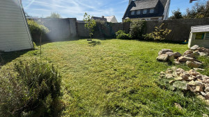 Photo de galerie - Tonte de pelouse - Débroussaillage