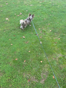 Photo de galerie - ?