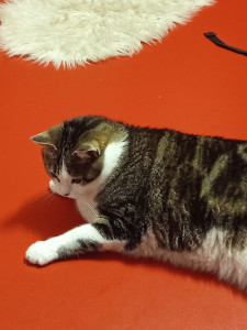 Photo de galerie - Mitsy