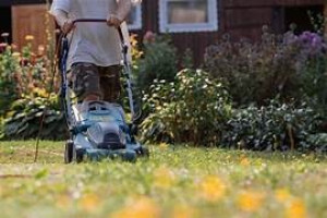 Photo de galerie - TONTE DE PELOUSE