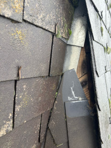 Photo de galerie - Réparation de rive en ardoise