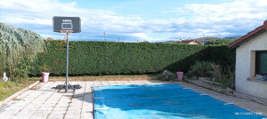 Photo de galerie - Tailles
 de haie et d arbres ,tonte , débroussaillage etc 