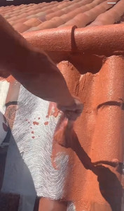 Photo de galerie - Peinture sur Toitur