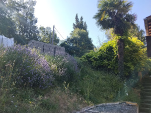 Photo de galerie - Avant 