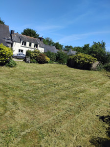 Photo de galerie - Tonte
