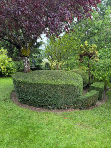 Photo de galerie - Taille de haie sur la commune de Rochecorbon