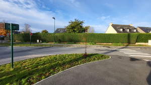 Photo de galerie - Taille de haies et d'arbustes