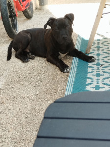 Photo de galerie - Alpha un p'tit staff 