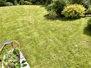 Photo de galerie - Paysagiste - Aménagement du jardin